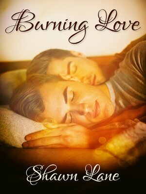 cover image of Burning Love